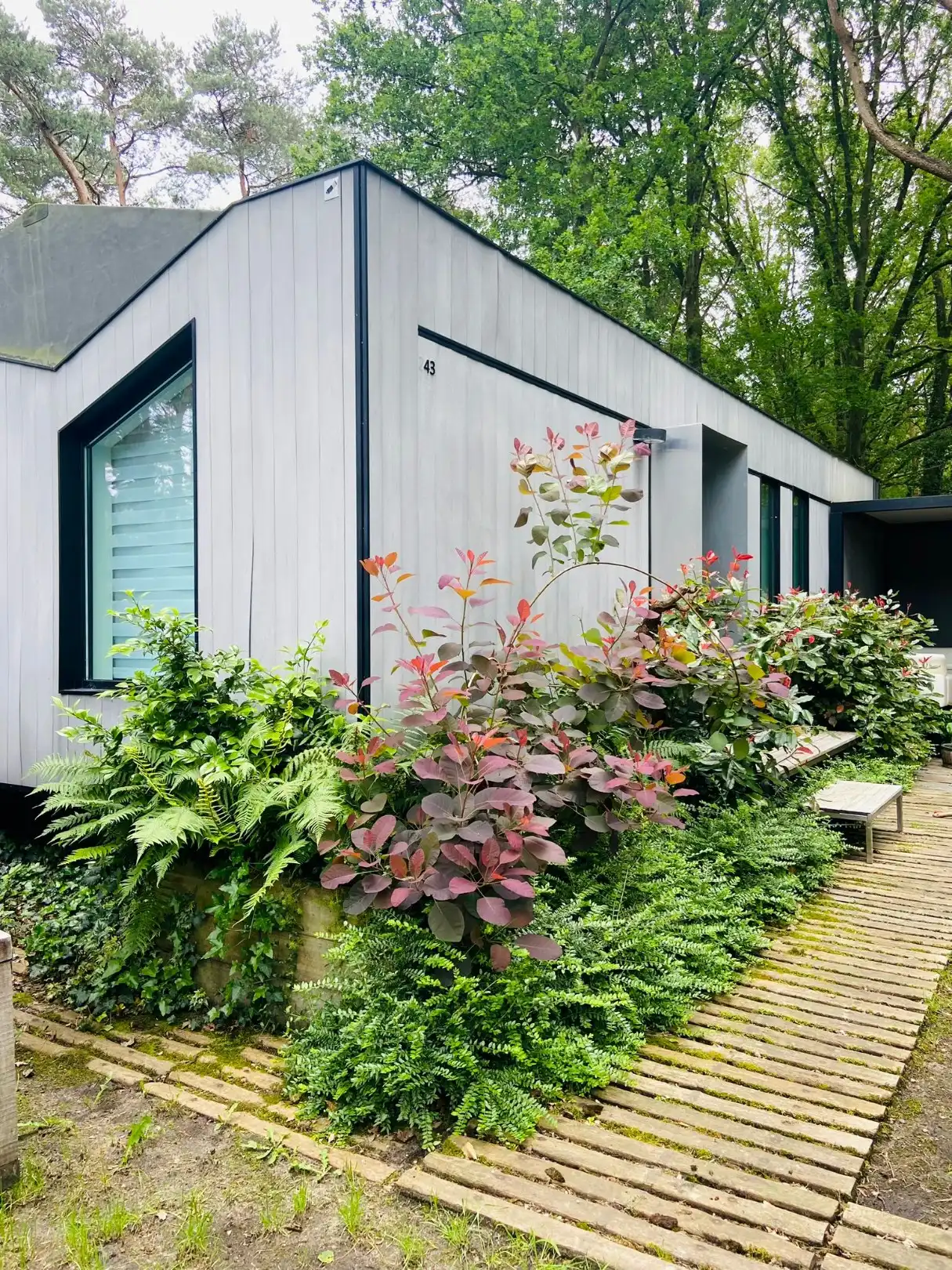 Charmant chalet 55 m² op familiecamping Goolderheide foto 15