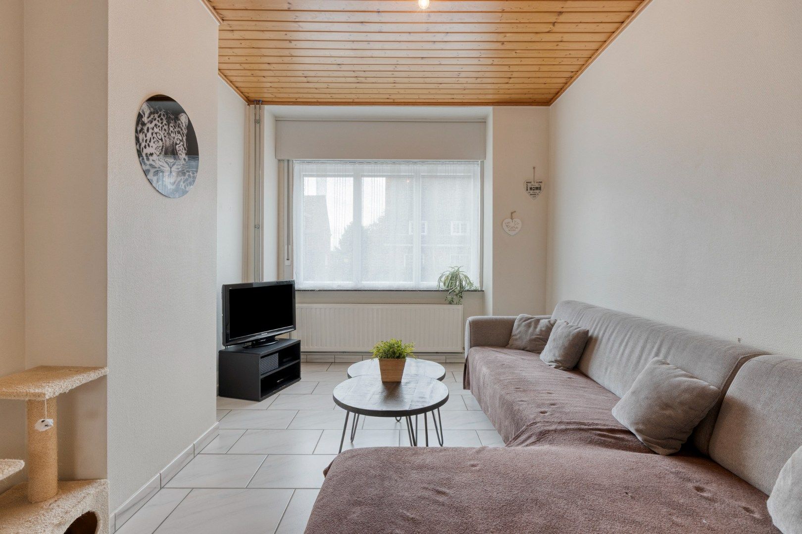 Verzorgde woning met diepe tuin, carport én uitweg! foto 6