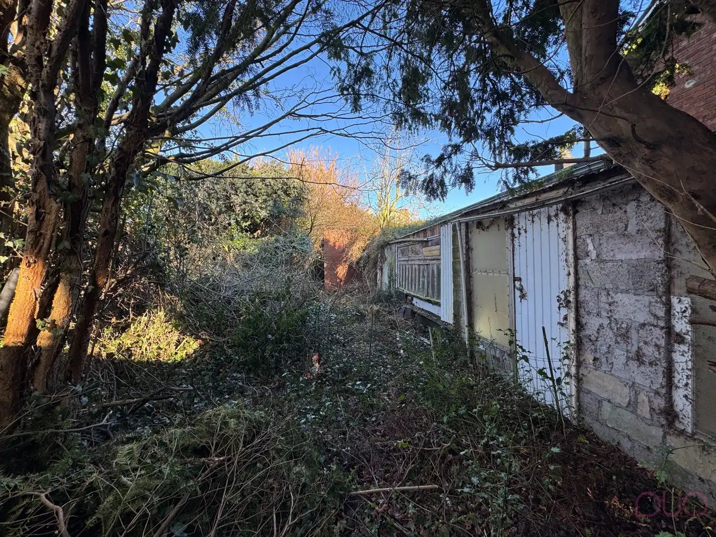 Totaal te renoveren woning op ruim perceel grond met mooi uitzicht foto 3