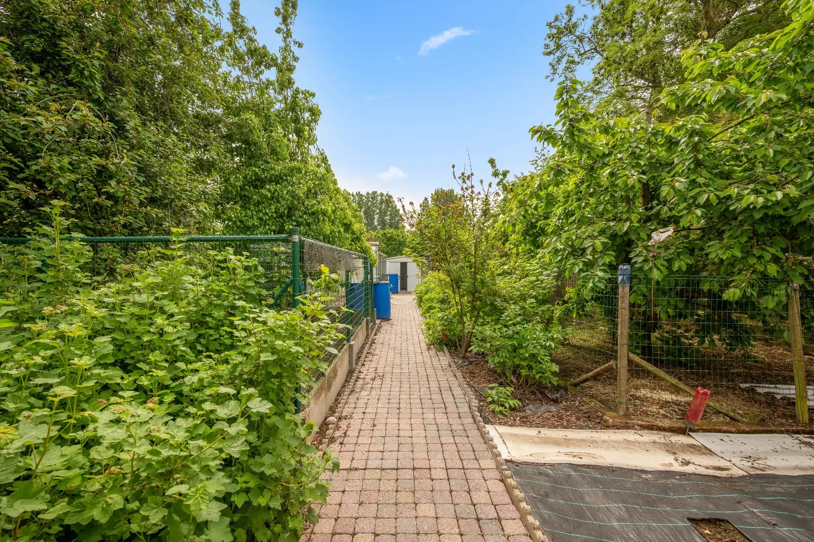 Ruime te renoveren rijwoning met ontzettend veel potentieel en een leuke tuin foto 24