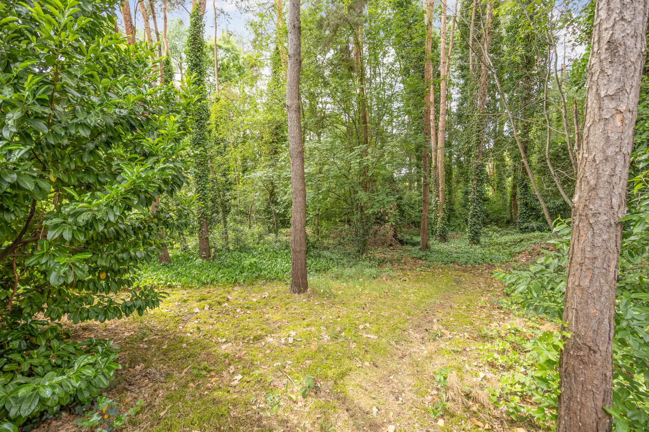 Huis te koop foto 33