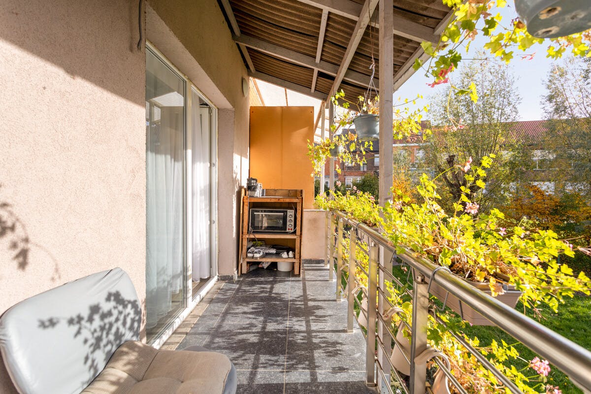 Huis met 4 slaapkamers, 2 badkamers en tuin te koop in Niel foto 6