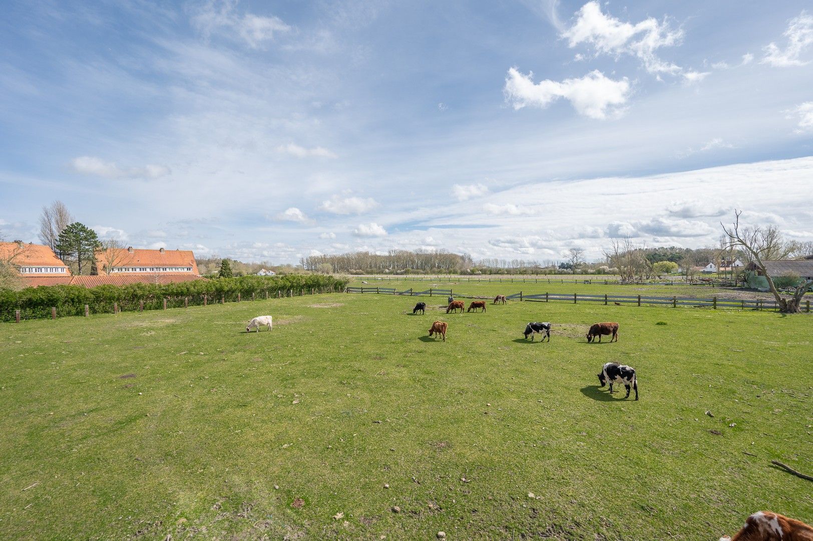 Uitzonderlijke eigendom met een uniek open zicht op de Hazegraspolders, vlakbij het Oosthoekplein. foto 13