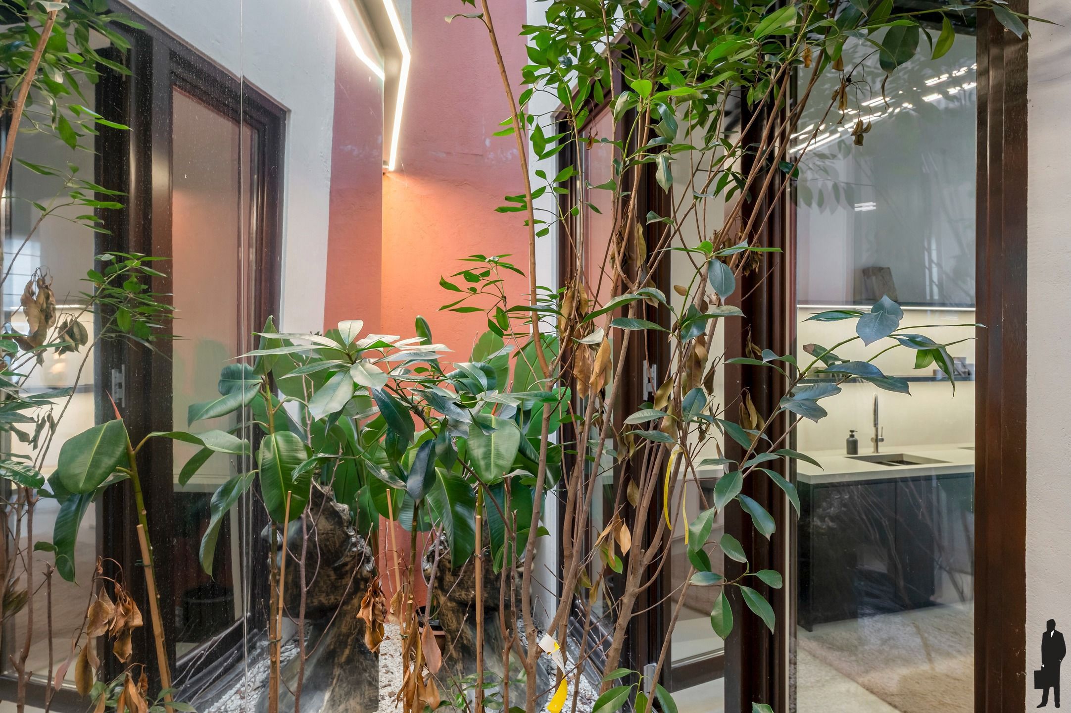 Neoclassicistische stadswoning uit de 19de eeuw met zicht op de Schelde en de Kathedraal foto 8