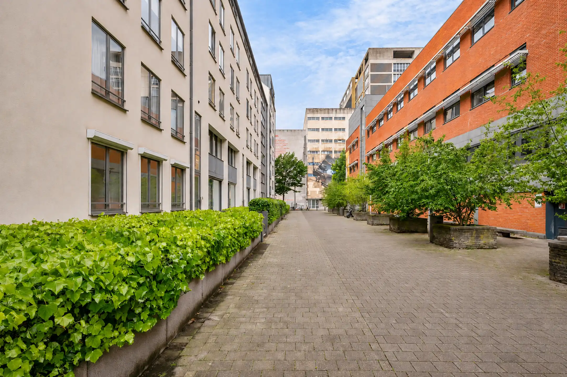 Ruim appartement op toplocatie met  Zuidgerichte koer. foto 6