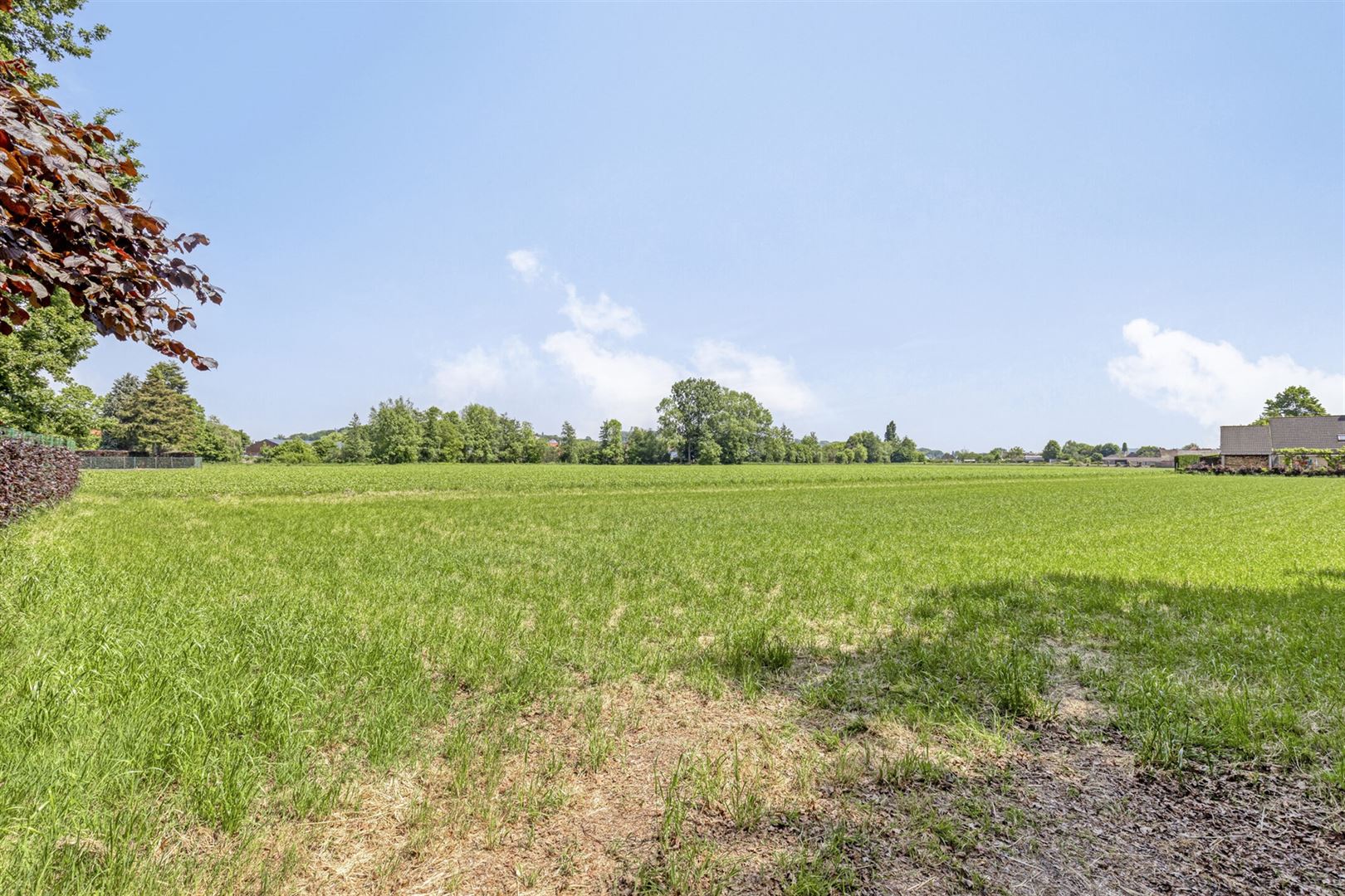 Huis + weiland foto 31