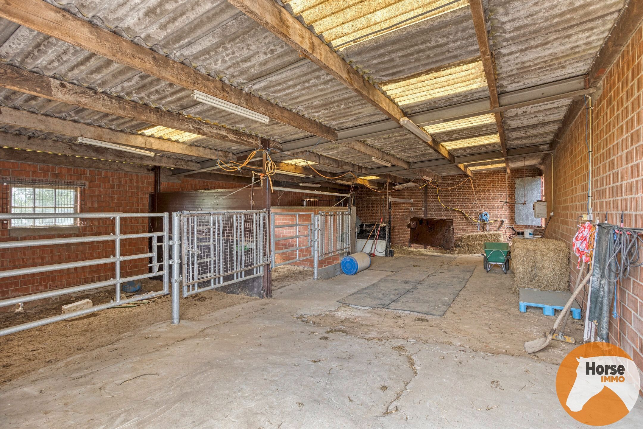 WOUBRECHTEGEM - Charmante woning met 2 loodsen op 1,61 ha  foto 25