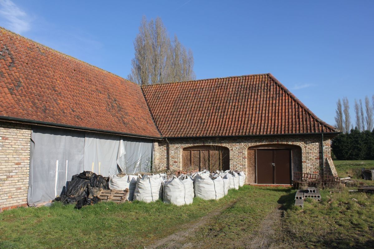 Rendabele plantenkwekerij van circa 9 ha te koop te Menen foto 11