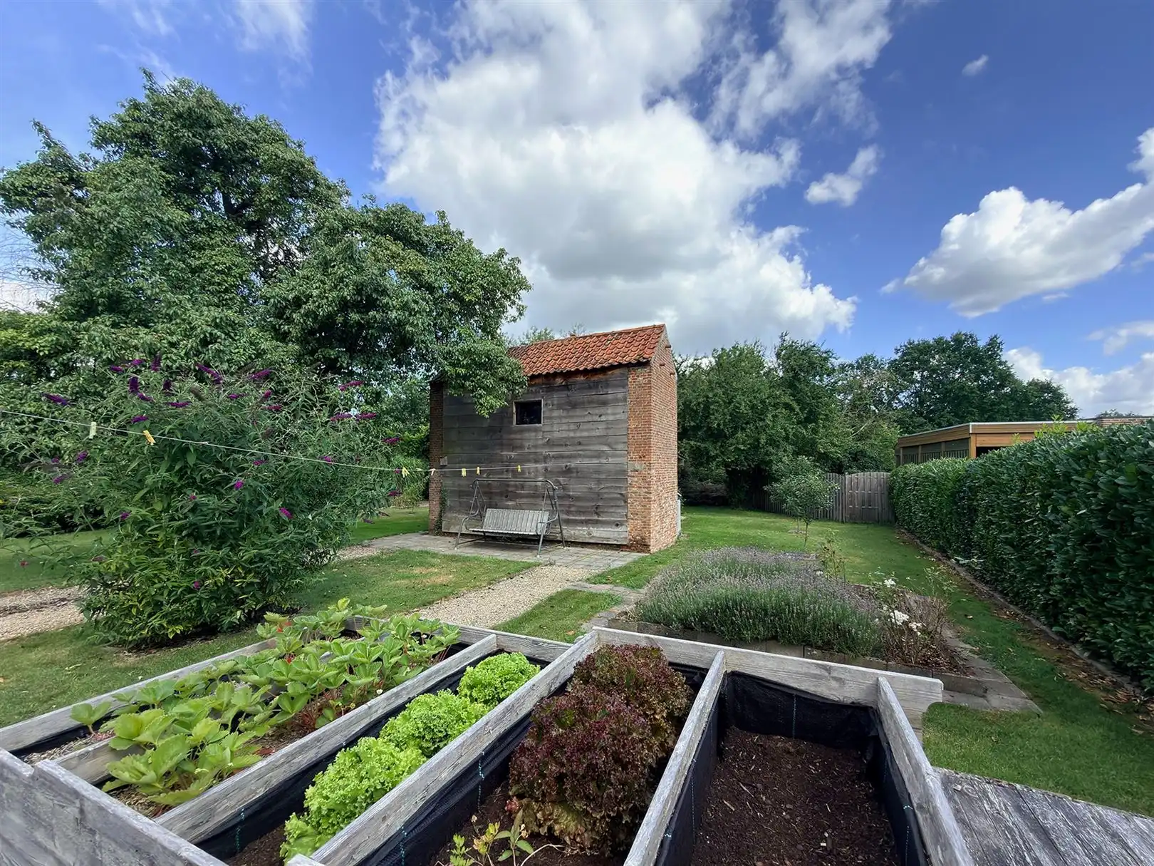 Instapklare woning met een zalige tuin! foto 21