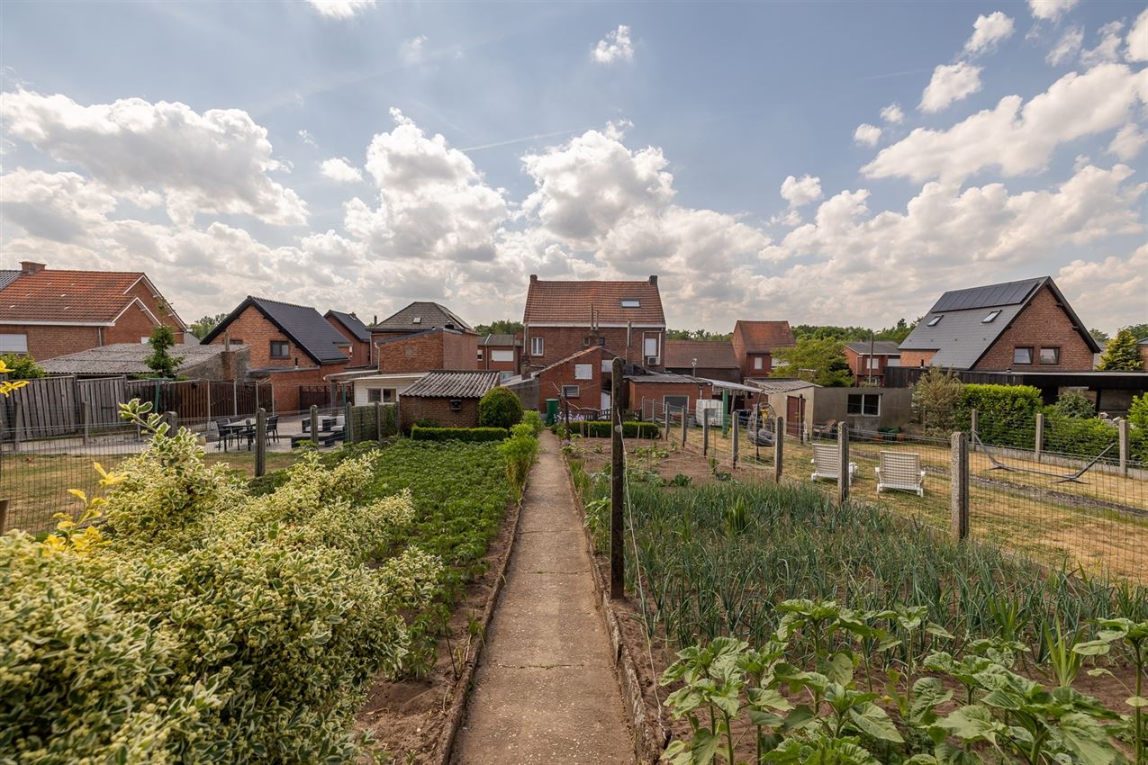 robuuste te renoveren woning op 11a10ca foto 30