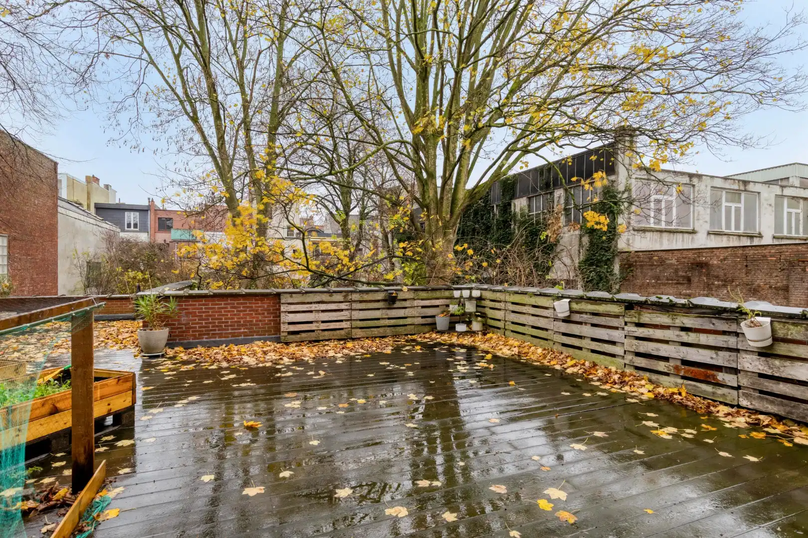 Appartement in centrum Antwerpen terras en tuin foto 18