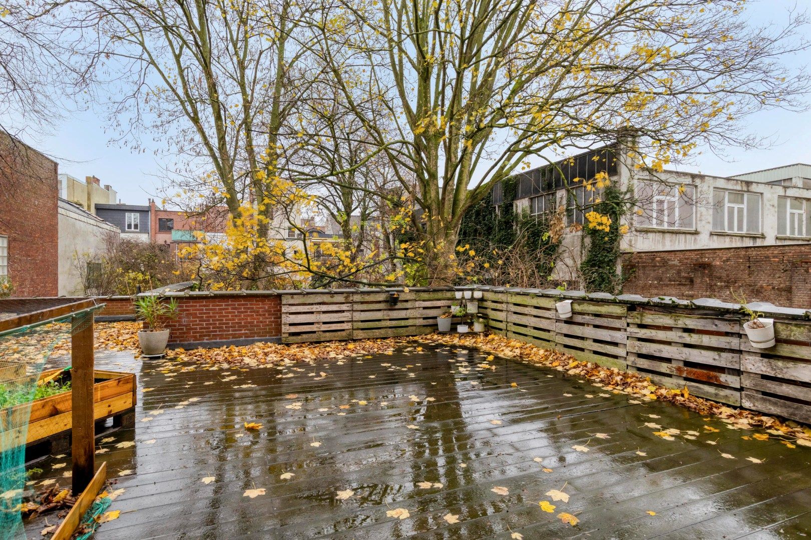 Kijkdag 10 & 12 januari Appartement in centrum Antwerpen terras en tuin foto 18