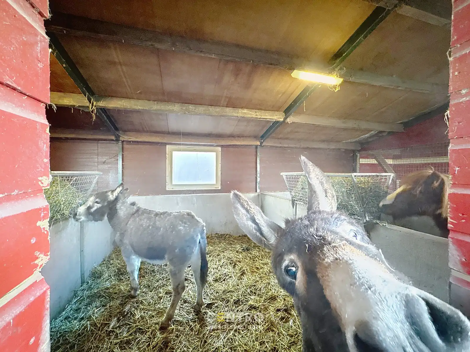 UNIEK Horeca-vastgoed met woonst op circa 2,8 hectare! foto 23