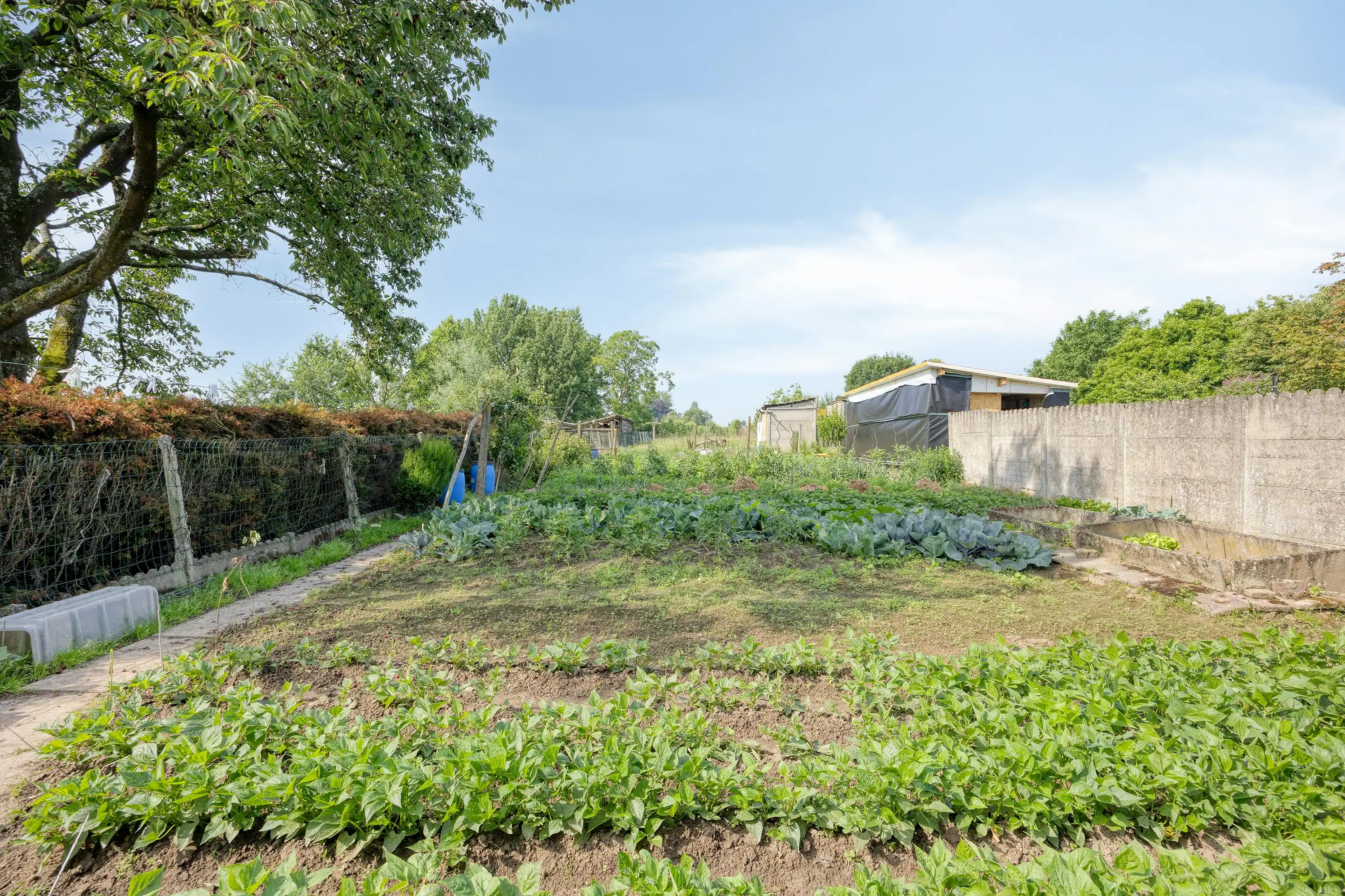 Gerenoveerd huis te koop in Mater (Oudenaarde) foto 19