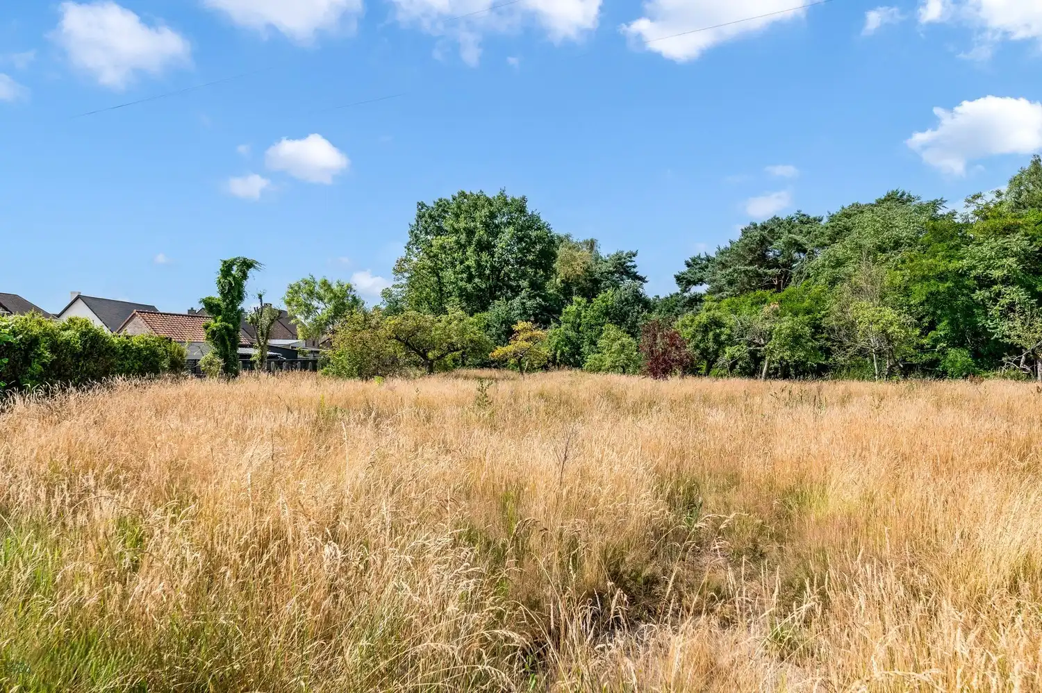 Bouwgrond van 1070 m² voor open bebouwing te Tessenderlo-Ham foto 4