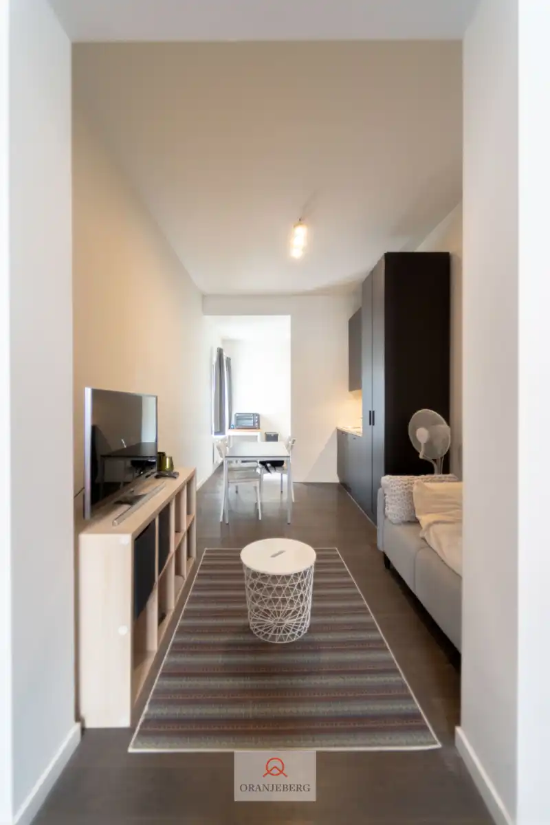Gelijkvloerse studio te huur vlakbij Gent centrum foto 12