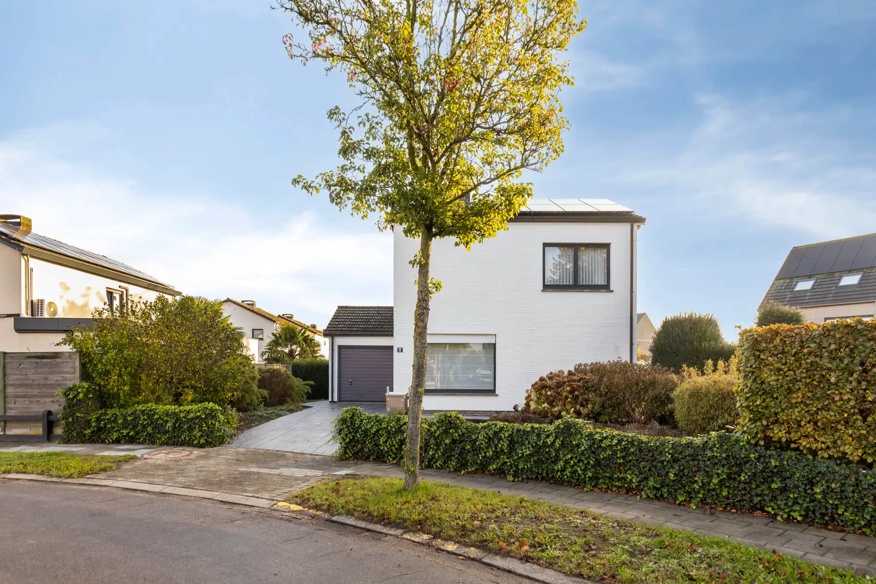 Open bebouwing met 4 slaapkamers in Sint-Amands. foto {{pictureIndex}}