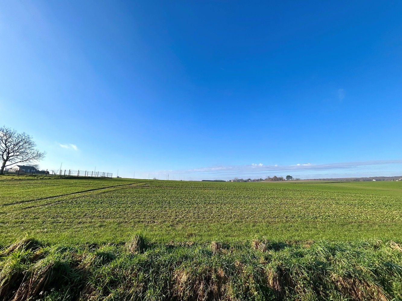 Ruime, te renoveren woning met prachtig uitzicht te Leefdaal foto 2