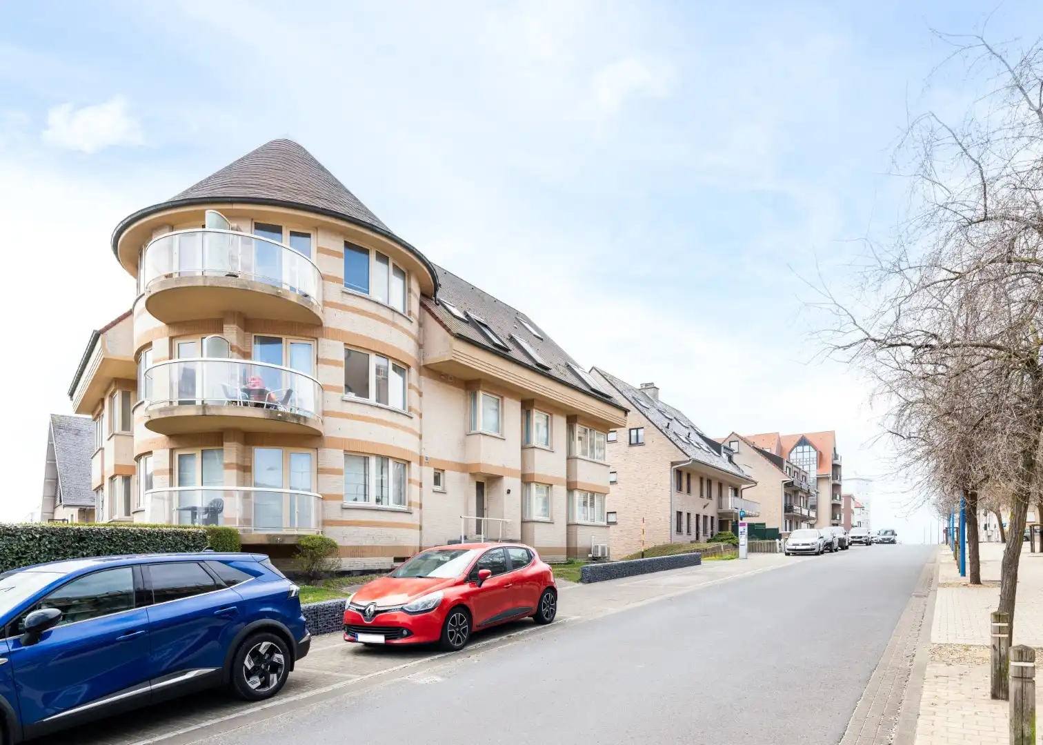 Campanula - 01.02 foto 13