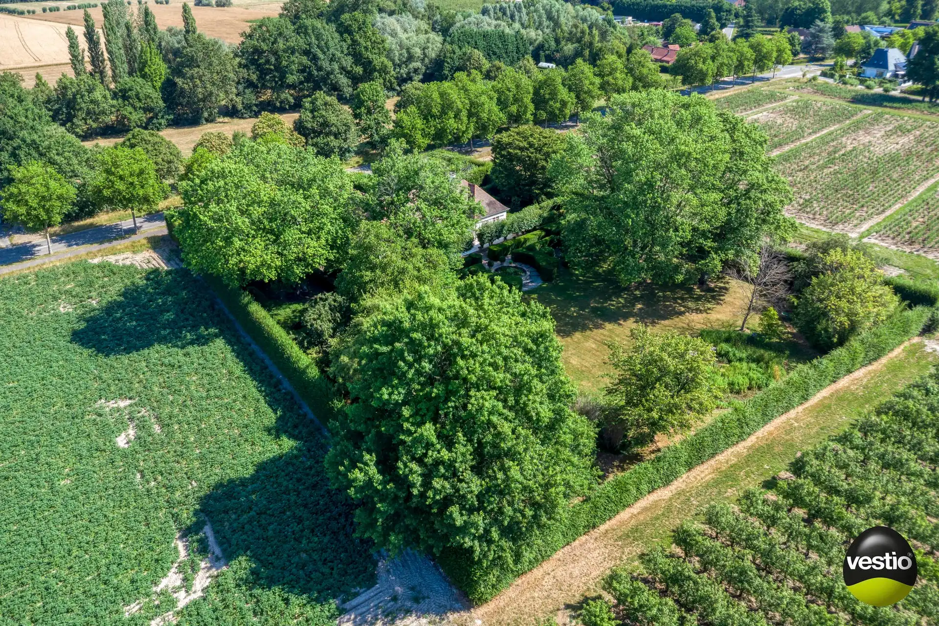 Exclusieve villa in bosrijke omgeving van Hasselt – 5.000 m² privacy en groen foto 31