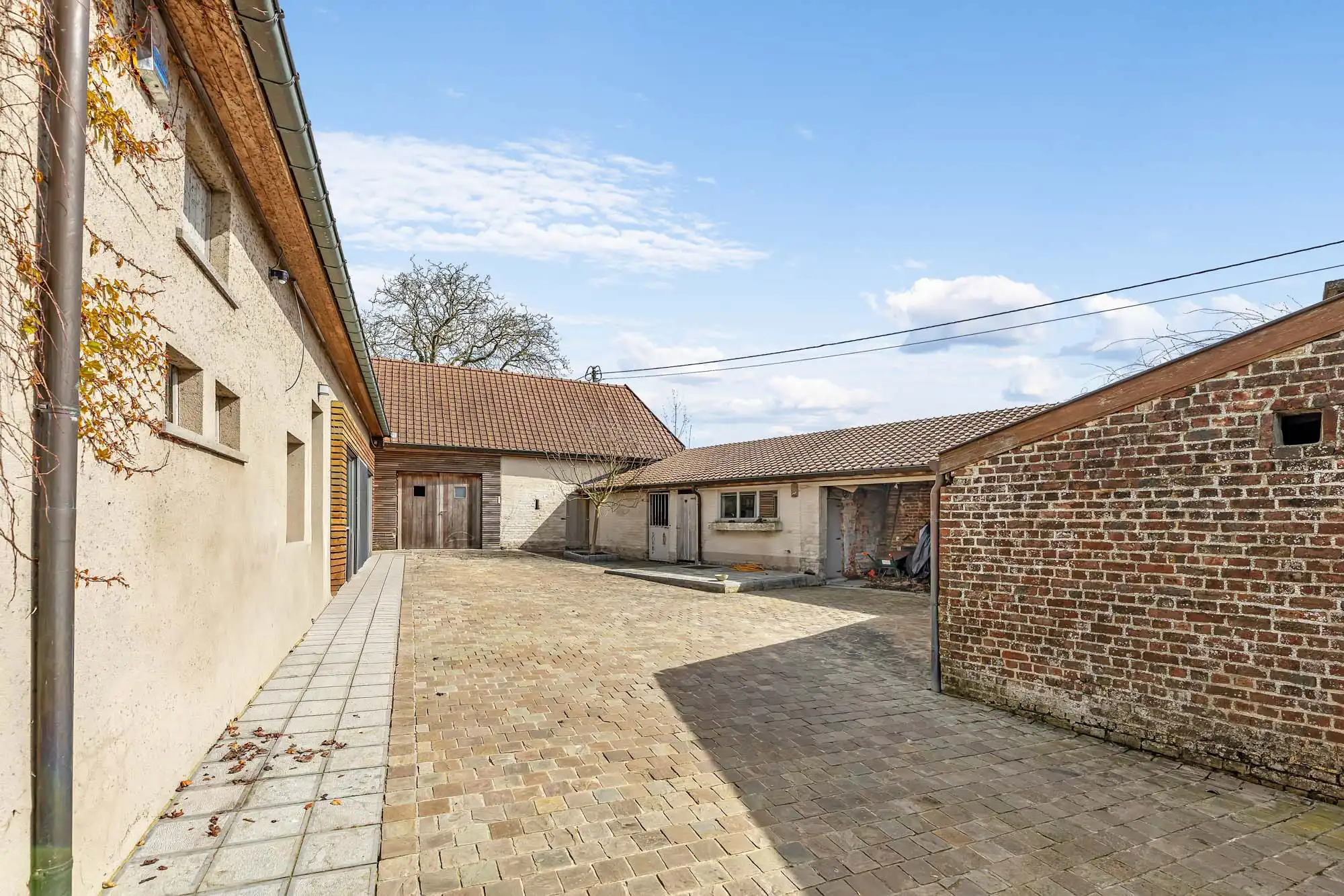 Hoeve te koop met 4 slaapkamers op prachtig perceel foto 3