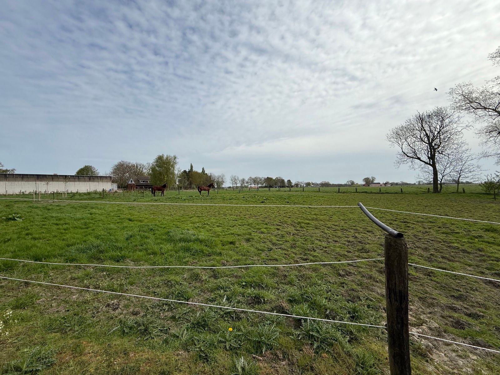 Te renoveren hoeve met woning en verschillende bijgebouwen foto 12