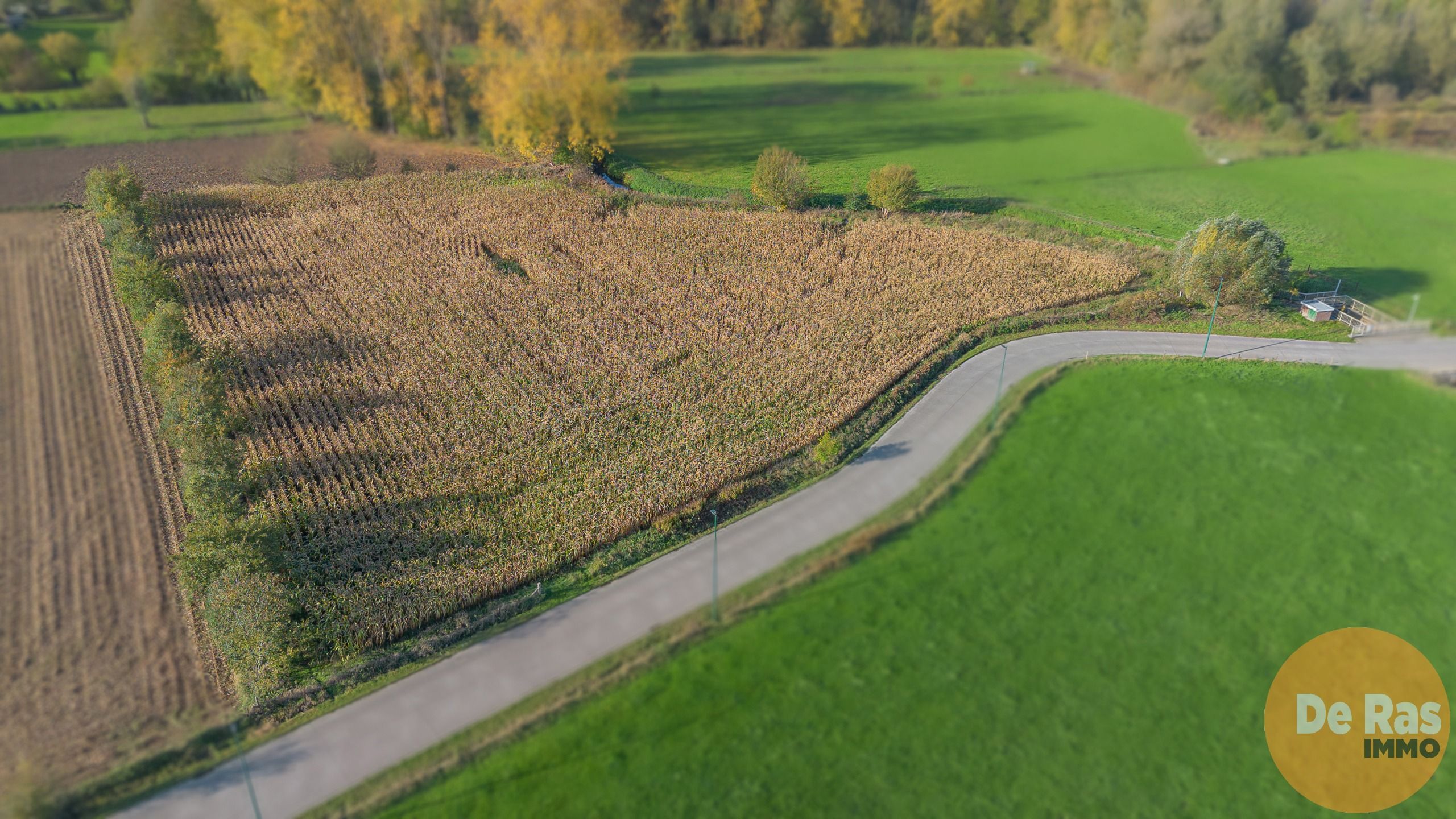 AALST - Landbouwgrond/weide 81a foto 3