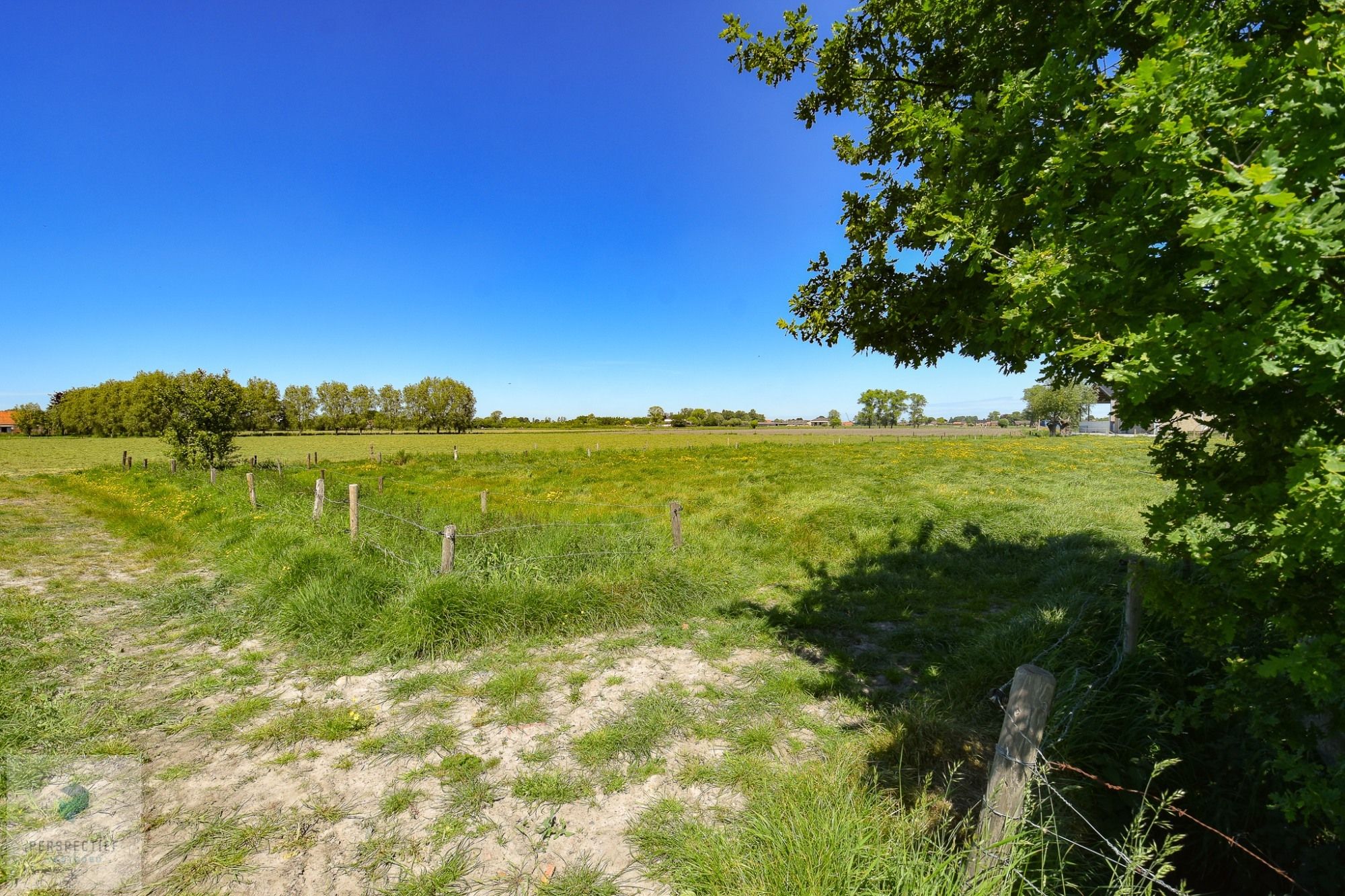 LANDELIJK gelegen woning met bijgebouw, stalling en WEILAND op 7.421 m² foto 2