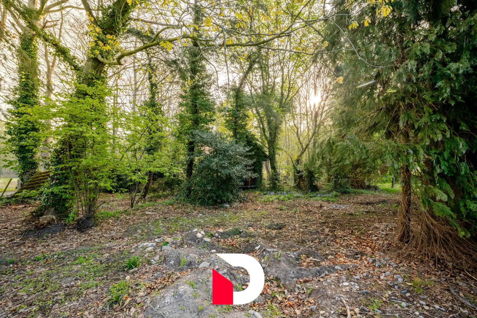 Uiterst charmante en te renoveren woning met weiland aan Merkenveld bos te Zedelgem  foto 19