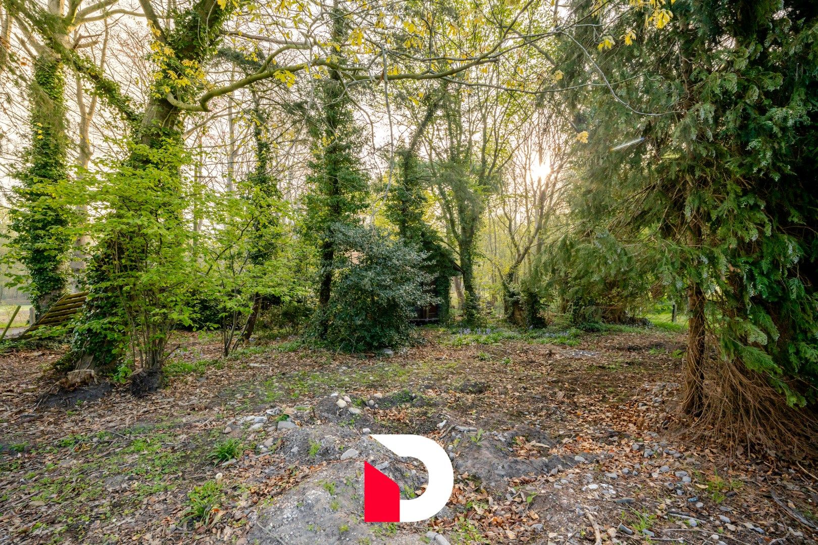 Uiterst charmante en te renoveren woning met weiland aan Merkenveld bos te Zedelgem  foto 19