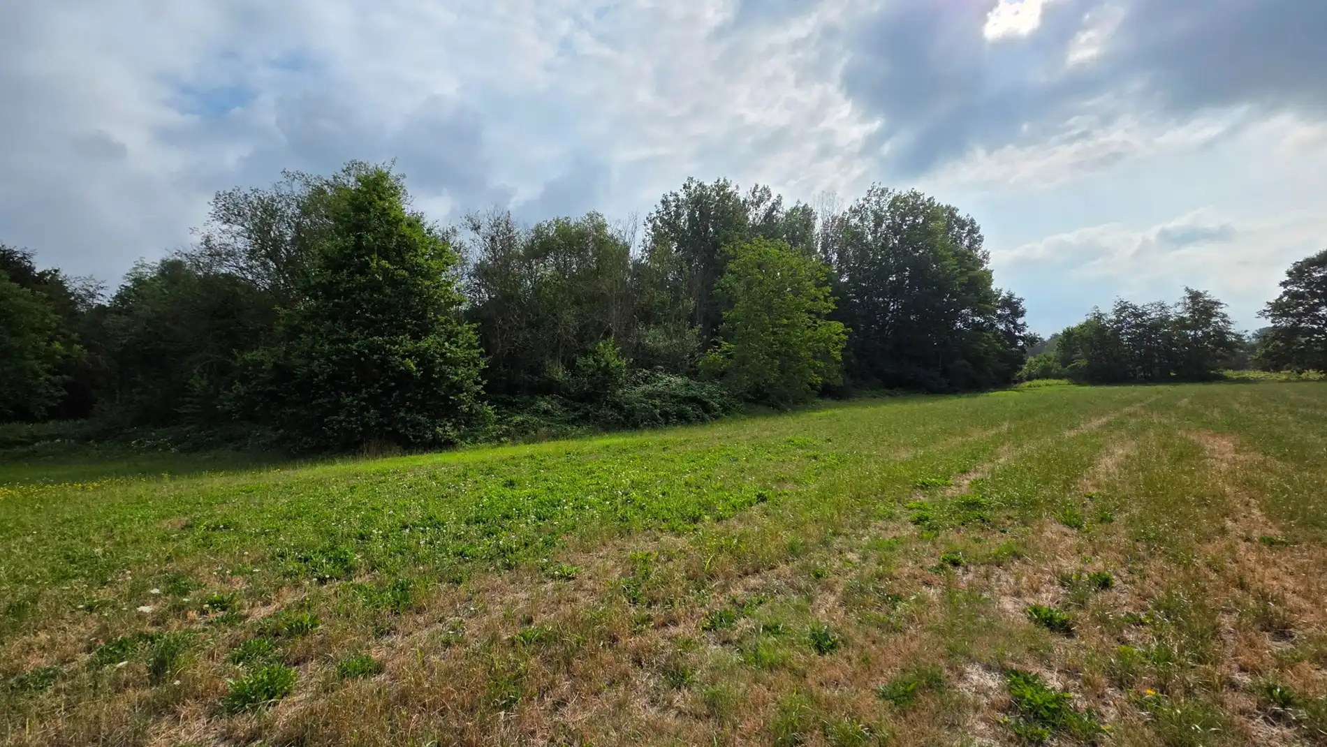 GROEN PERCEEL VAN 3.410 M² IN BETEKOM foto 5