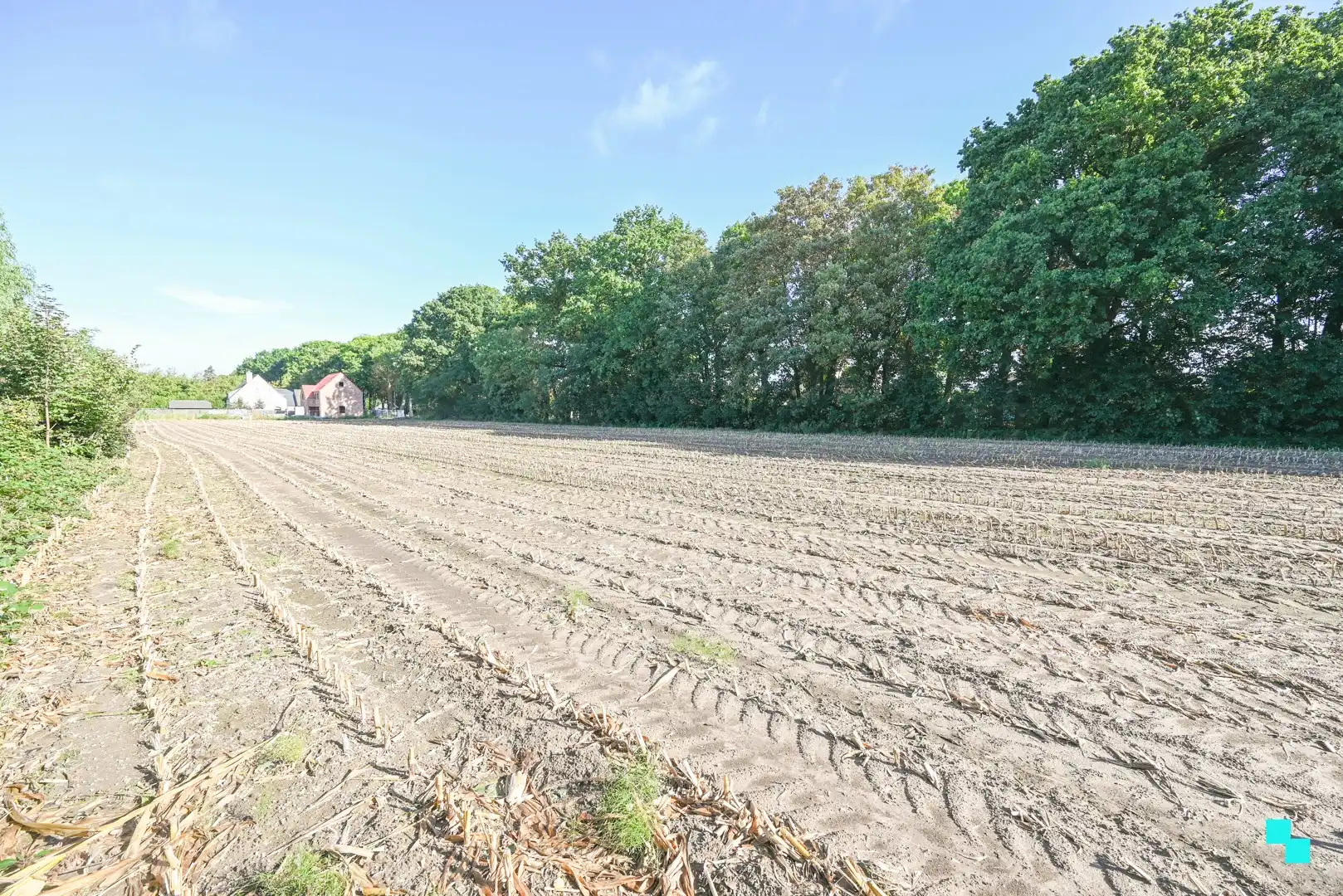 Exclusieve bouwgronden in residentiële laan te Wielsbeke foto 4