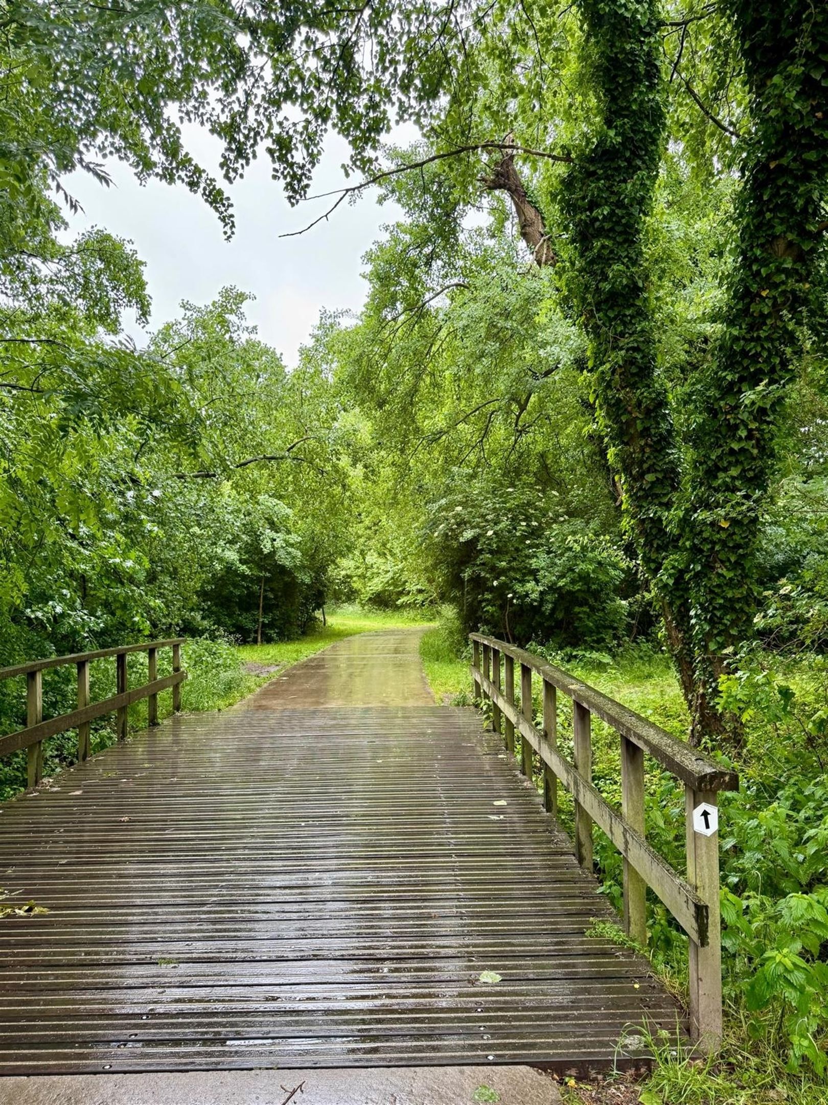 Praktische gezinswoning met tuinzicht in hartje Mortsel foto 28