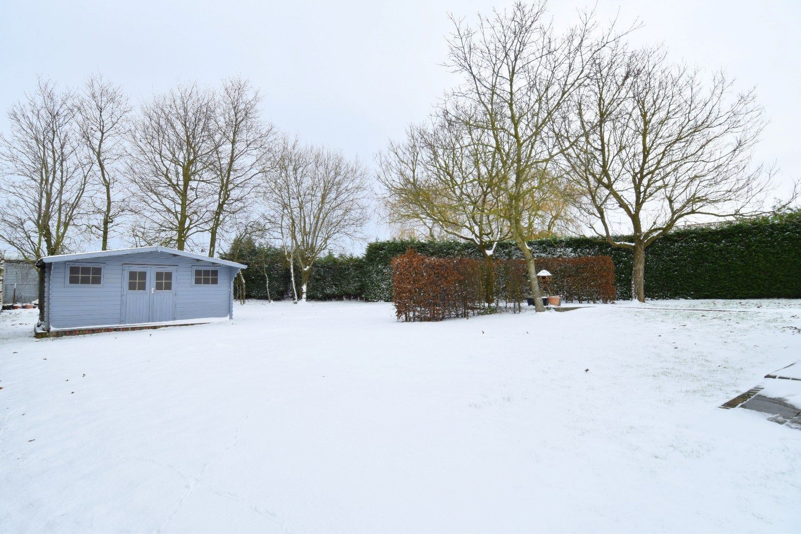 Landelijk wonen in alle comfort én met 4 slaapkamers te Sint-Eloois-Winkel foto 4