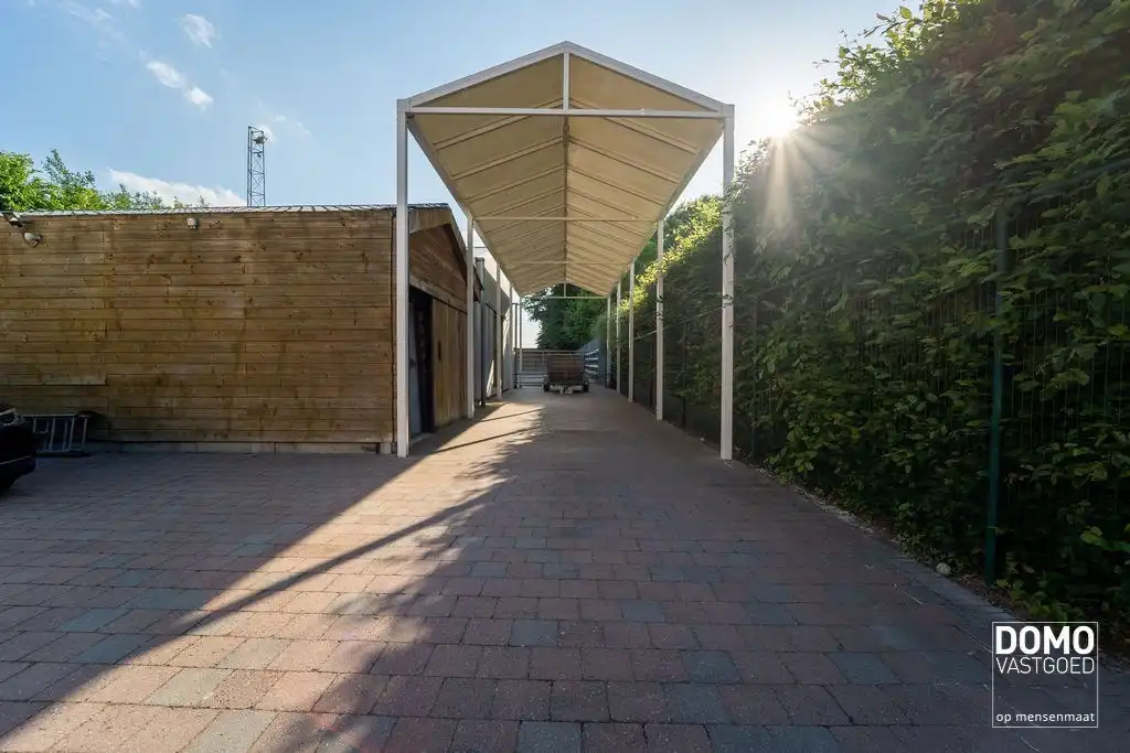 Ruime villa met paardenaccommodatie en wedstrijdstal gelegen te Herk-de-Stad - EPC-label: B - Bewoonbare vloeroppervlakte: 296m² foto 25