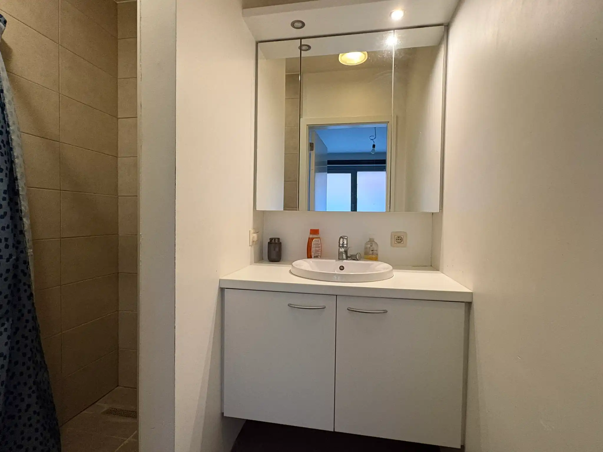 Energiezuinig 1-slaapkamerappartement foto 5