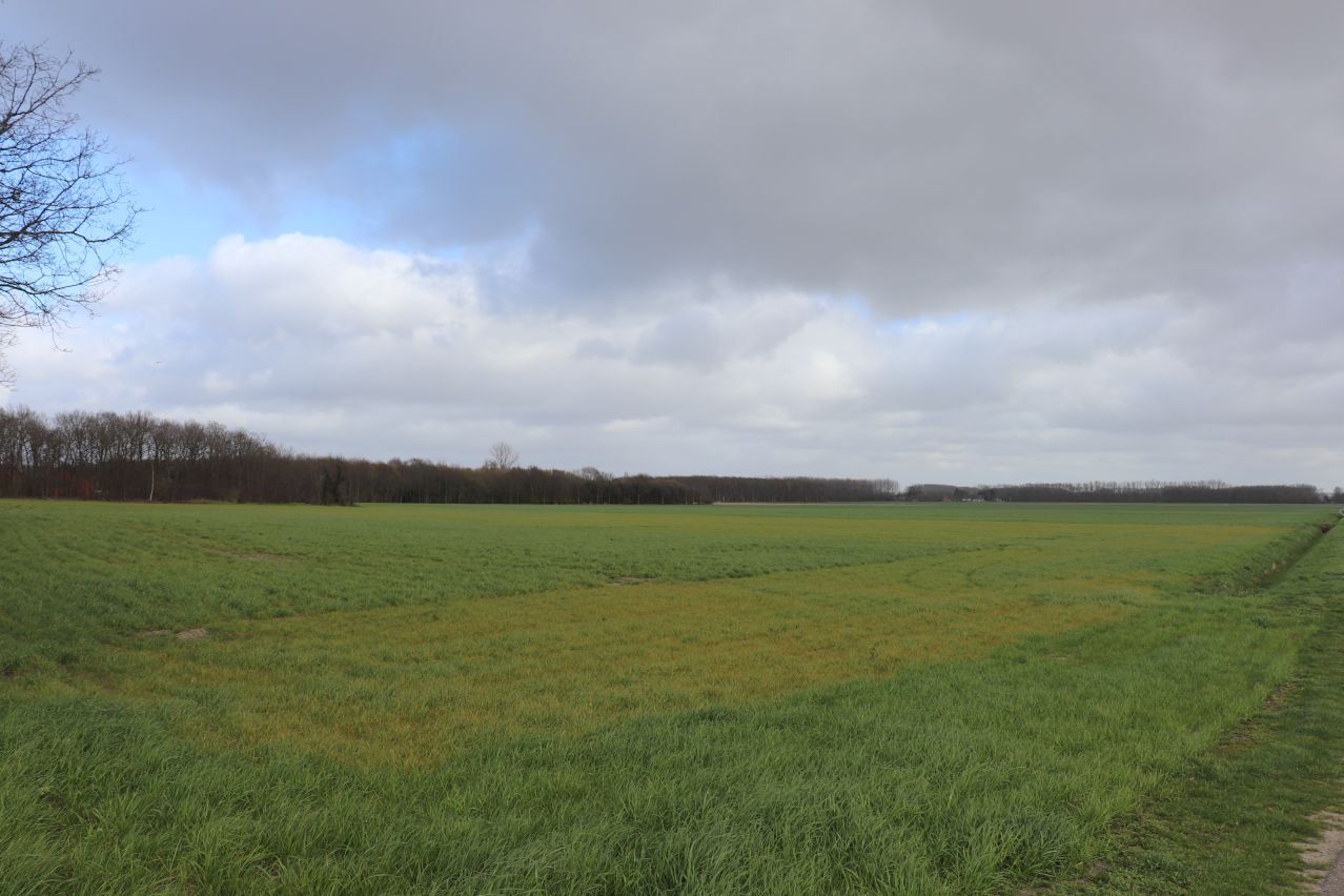 Hoeve geschikt voor hippische accomodatie te koop te Terneuzen foto 12