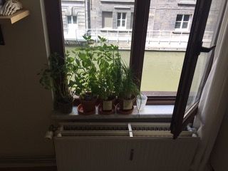 Prachtig appartement centrum Gent! foto 4