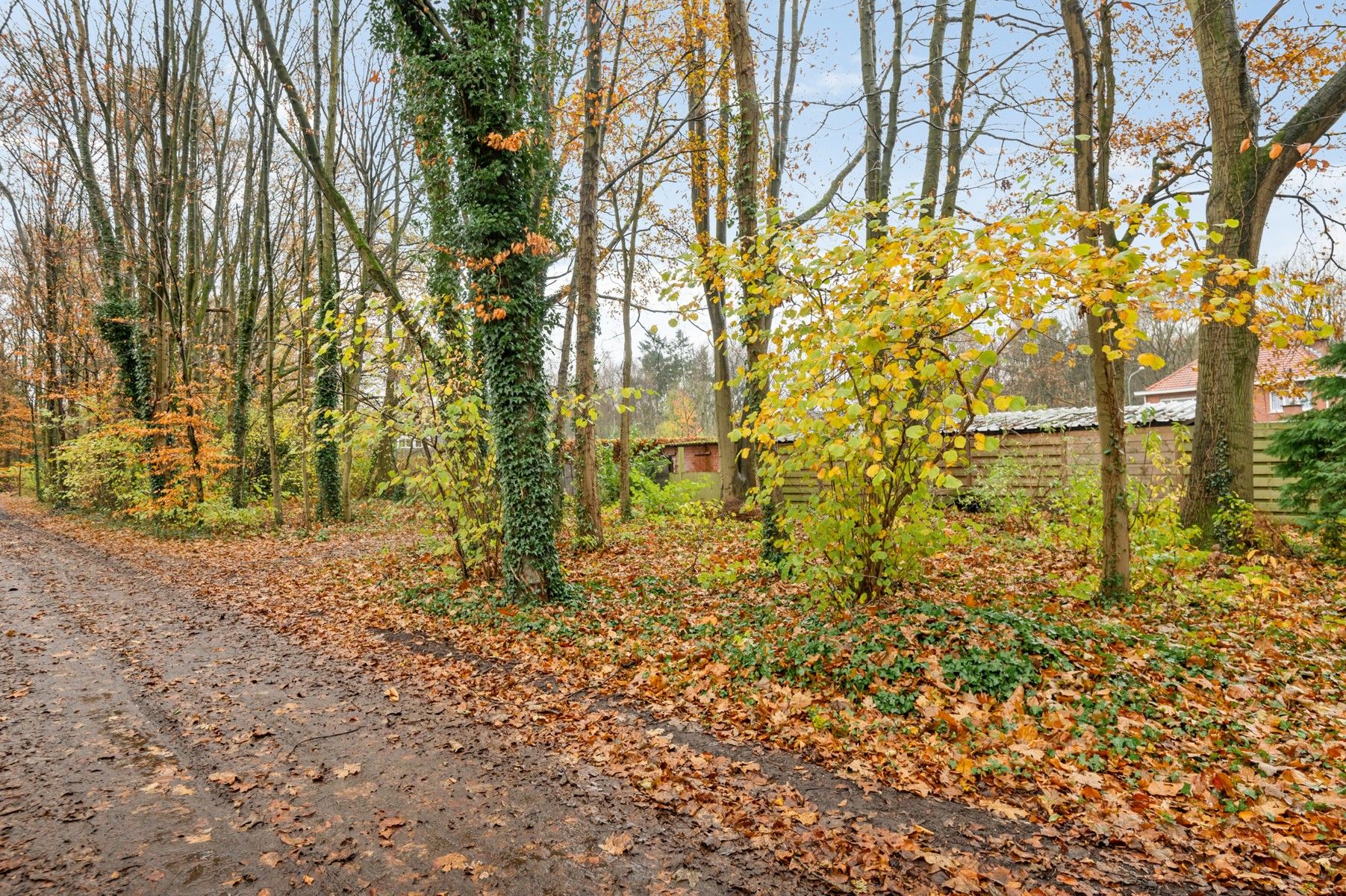 Ruime en lichtrijke villa op 1538 m² met uitbreidingsmogelijkheden foto 4