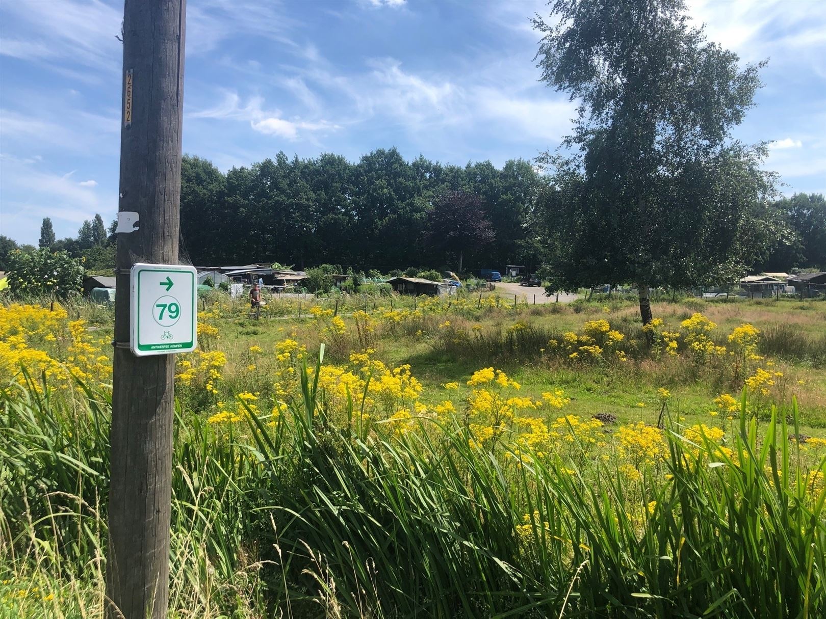 Half open bouwgrond aan het natuurgebied FORT VAN MERKSEM. foto 8