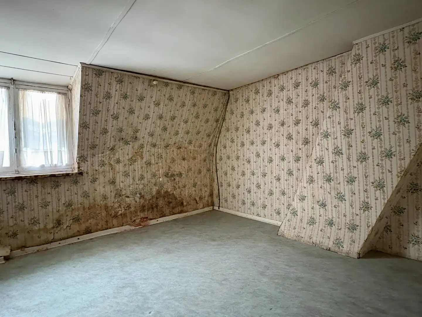 Renovatieproject op 767 m², met garage en uitweg.  foto 11