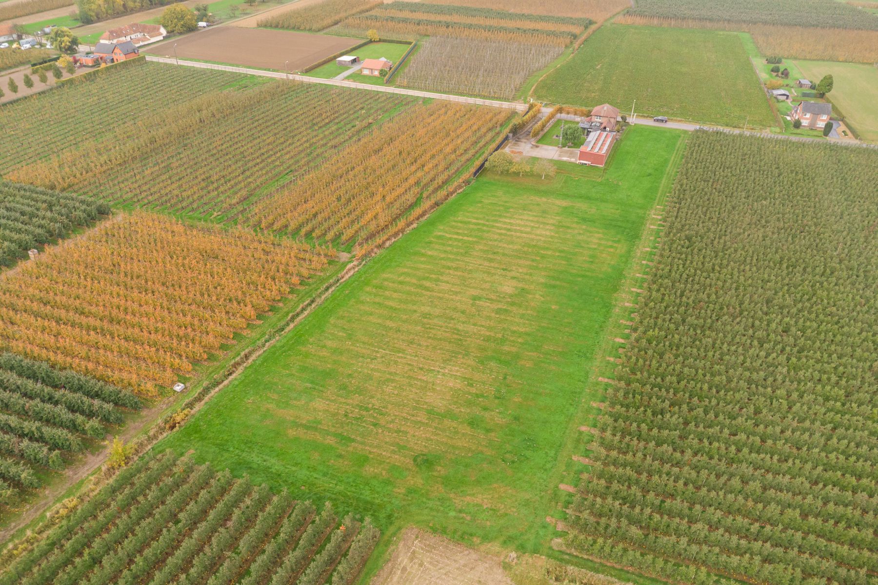 Huis te koop foto 49