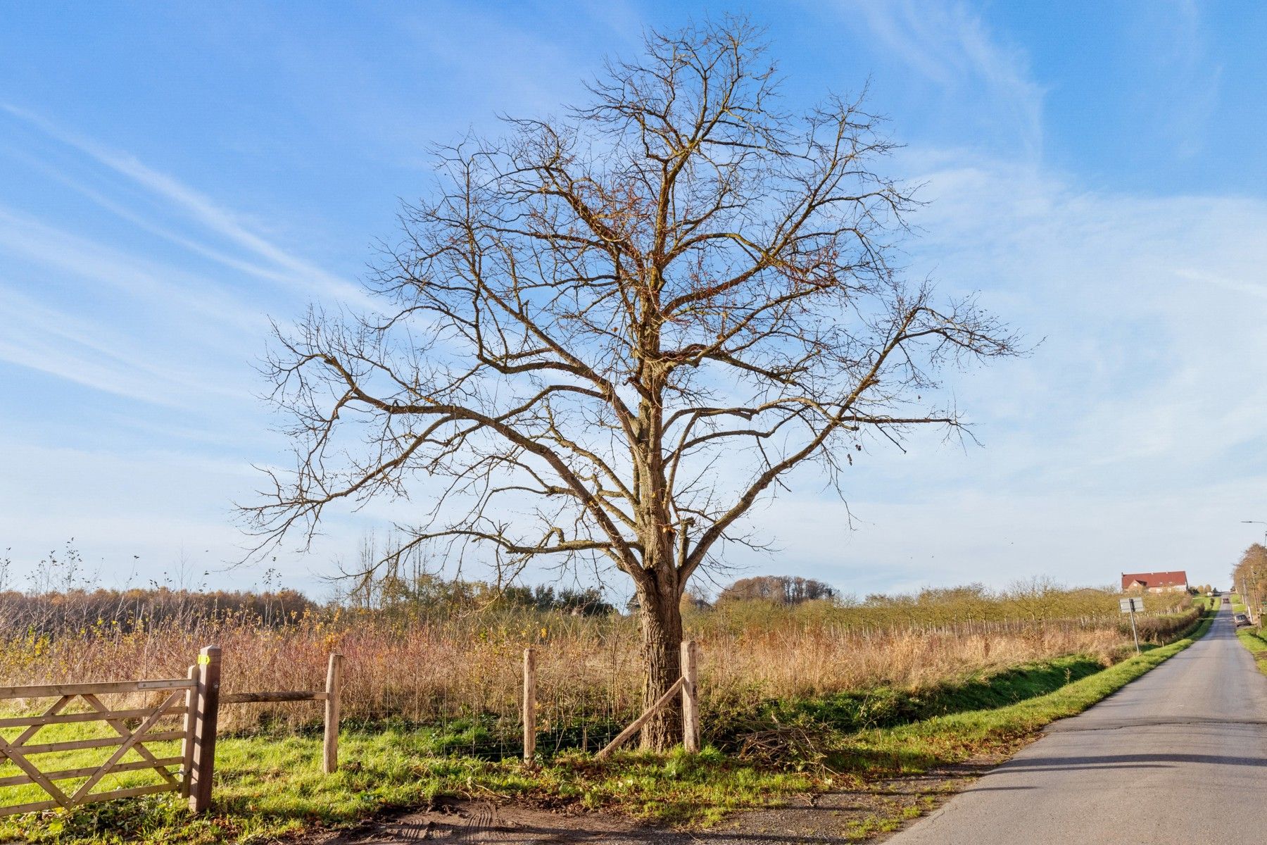 Uniek perceel grond mét vergunning aan het Tiegembos -900 m² foto 6