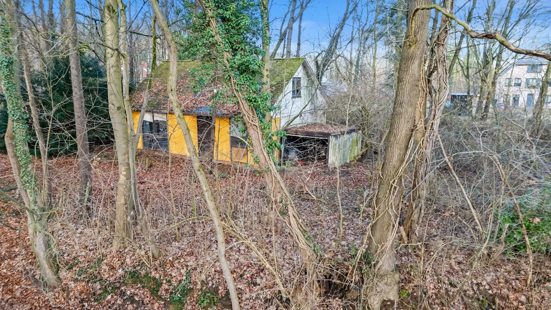 Grond te koop Molenstraat 75 - - 3212 Pellenberg