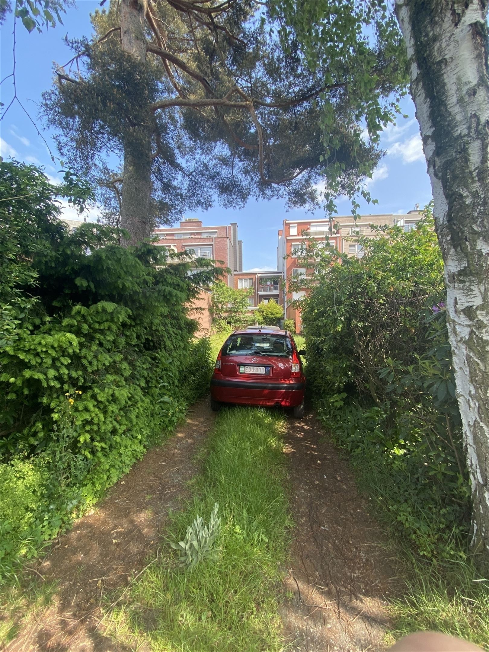 Centraal gelegen winkelpand met woonst en tuin foto 12