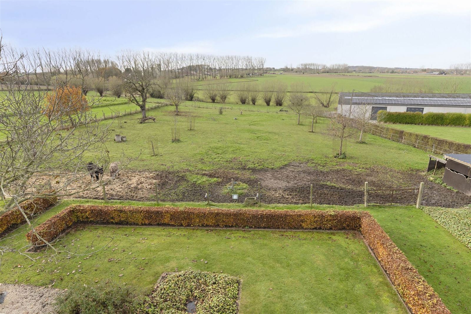 "Het Hof Farsenhove" te koop foto 37