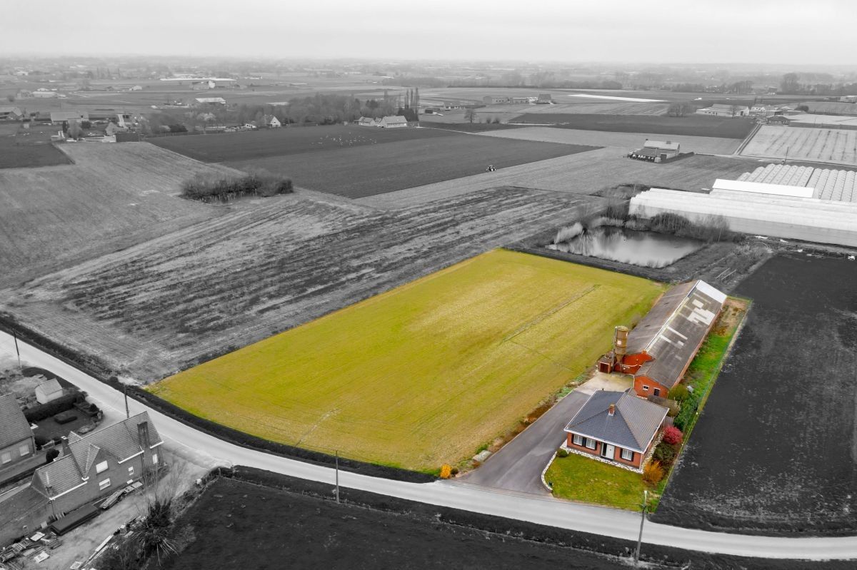 Hoofdfoto van de publicatie: Woning en bijgebouw met grond te koop te Meulebeke