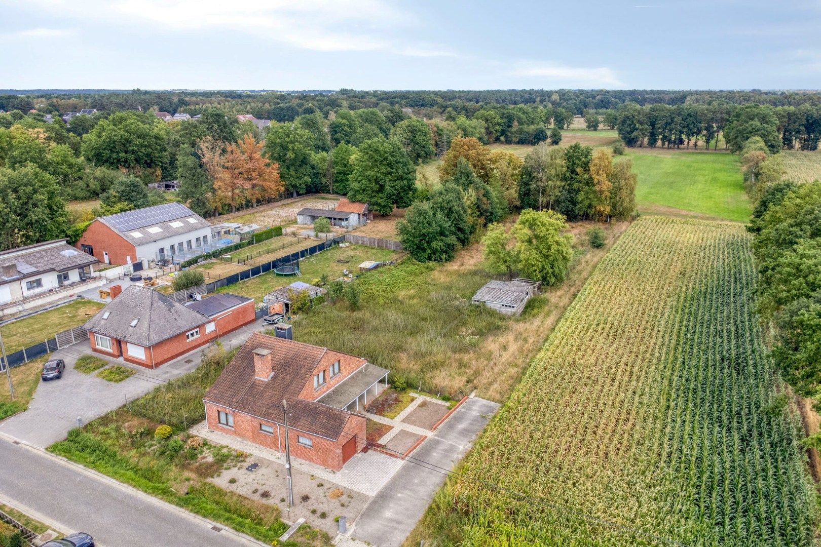 Woning met 3 slaapkamers op 3.363 m², landelijk gelegen te Olen ! foto 4