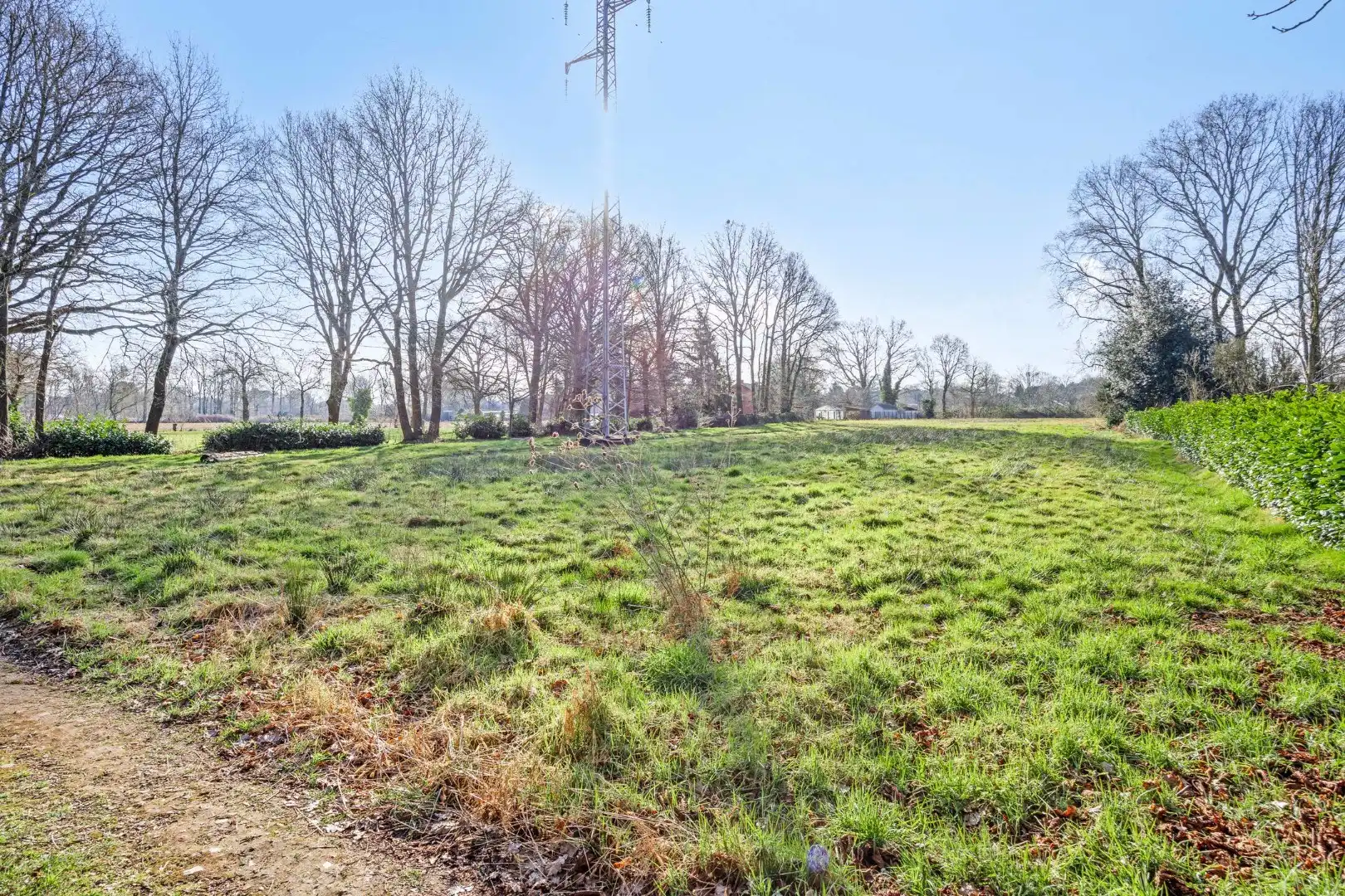 Unieke woonst op 13 hectare: rust, natuur en eindeloze mogelijkheden! foto 25