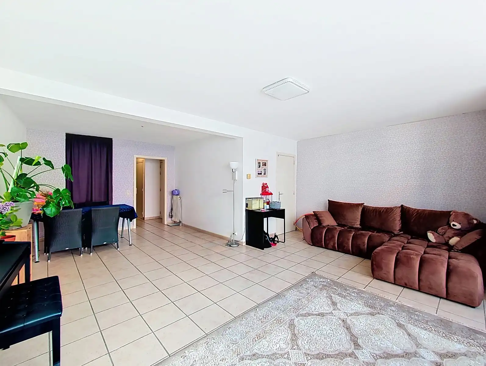 INSTAPKLAAR DUPLEX MET 3 SLAAPKAMERS CENTRUM EDEGEM foto 2